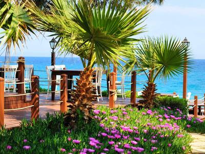 Palmbomen en bloeiende planten langs een houten pad met uitzicht op de blauwe zee onder een heldere lucht.