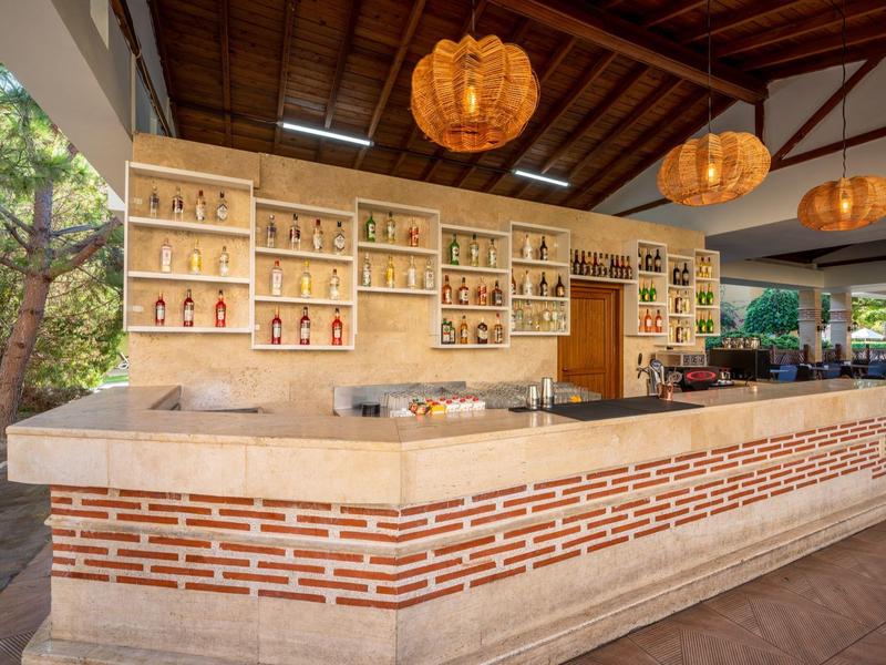 Lungo bancone del bar con scaffali pieni di bottiglie in uno spazio aperto con tetto in legno.