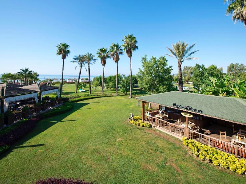 Prato verde con palme e un chiosco in legno sotto un cielo azzurro.