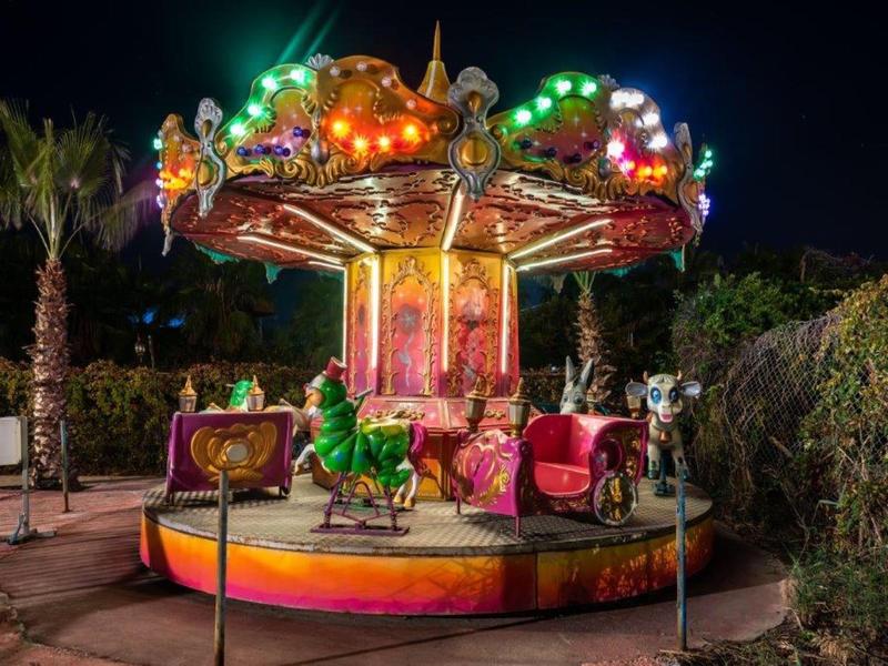 Giostra illuminata a colori con figure di animali di notte