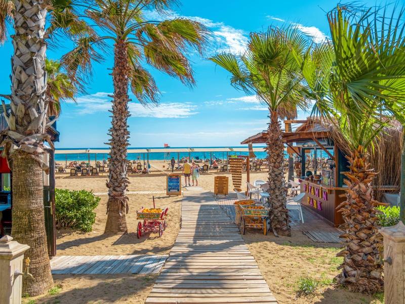 Accesso alla spiaggia con palme, sentieri sabbiosi e sedie a sdraio sotto un cielo azzurro.
