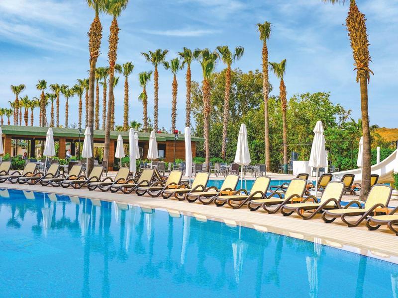 Fila di lettini accanto a una piscina con palme e cielo azzurro sullo sfondo.