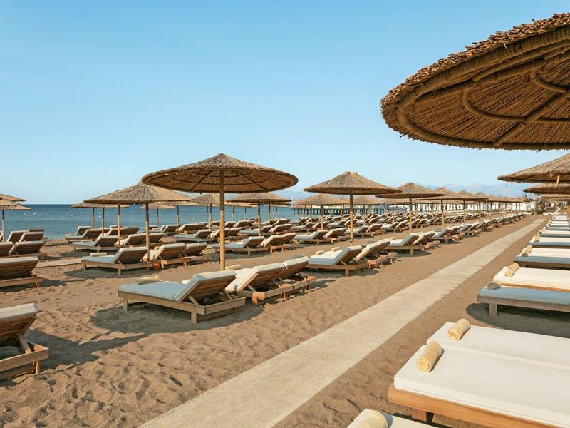 Lettini vuoti con ombrelloni su una spiaggia sabbiosa vicino al mare sotto un cielo sereno.