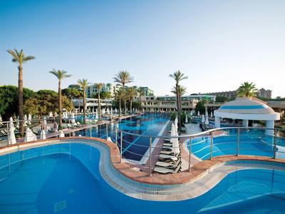 Curved outdoor pool with loungers and palm trees at a sunny resort.