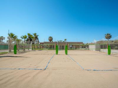 Leerer, sonniger Tennisplatz mit Palmen und klarem blauem Himmel im Hintergrund.