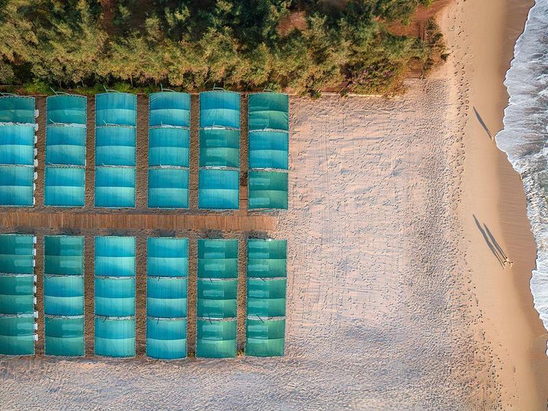 Plage avec rangées de chaises longues bleues et mer adjacente.