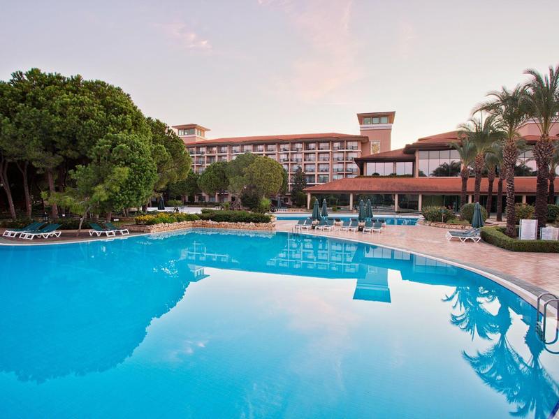 Velký bazén před hotelem s palmami a kvetoucími keři pod jasnou oblohou.