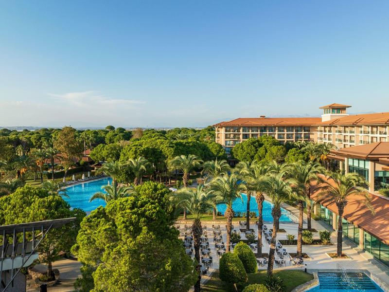 Pohled na hotelový komplex s bazénem, lehátky a palmami pod jasně modrou oblohou.