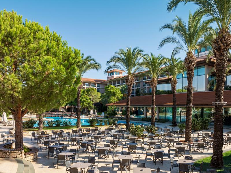 Venkovní prostor hotelu s mnoha stoly a židlemi pod palmami a bazénem v pozadí