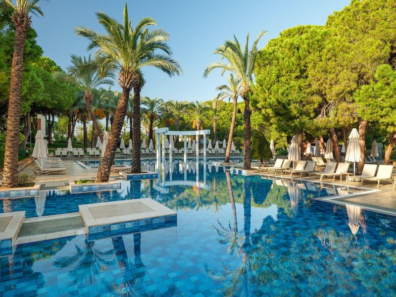 Luxusní bazén s palmami a lehátky za slunečného dne.