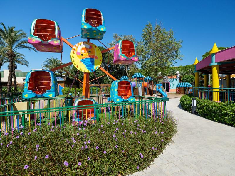 Barevné ruské kolo v zábavném parku s rostlinami a chodníkem v popředí.