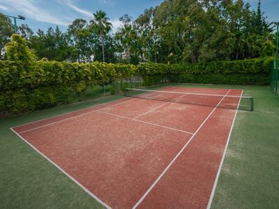 Leerer Tennisplatz mit rotem Sandbelag, umgeben von grünen Büschen und Bäumen, unter blauem Himmel.