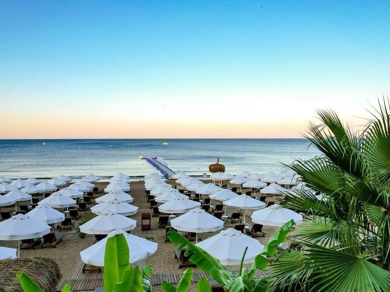 Spiaggia con ombrelloni bianchi e palme vicino al mare calmo sotto un cielo sereno