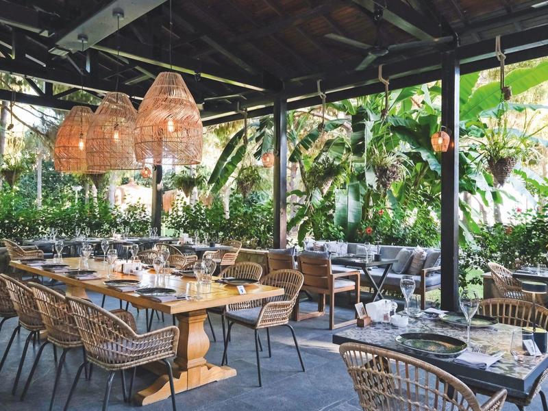 Accogliente area esterna del ristorante con sedie in vimini e tavoli in legno circondati da piante.