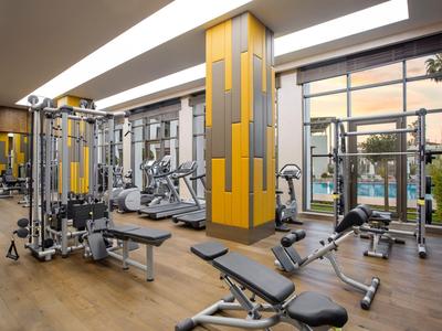 Palestra moderna con vari attrezzi per allenamento e grandi finestre.