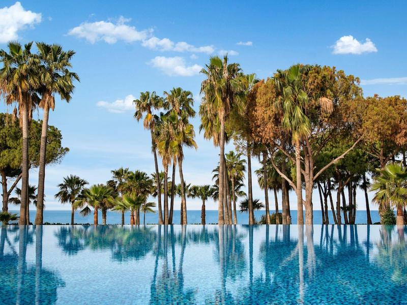 Una piscina a sfioro con acqua riflettente e palme sotto un cielo azzurro.
