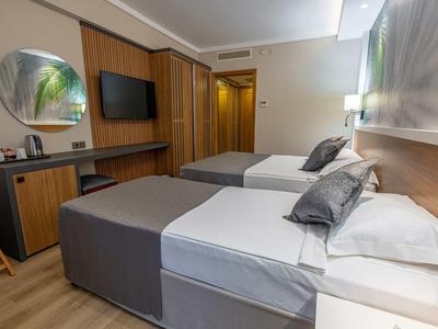 Hotel room with two single beds, wooden furniture, TV, and modern decor.