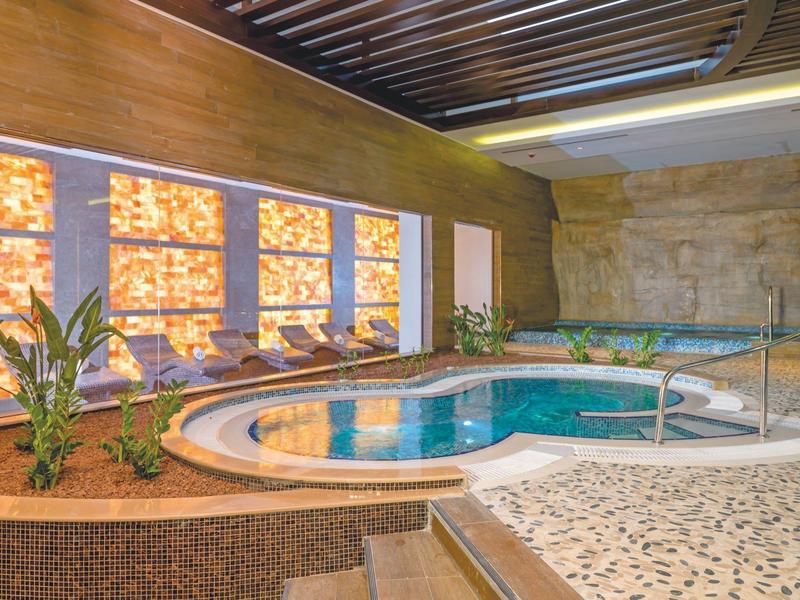 Indoor pool area with hot tub and large windows, surrounded by plants and wooden ceiling.
