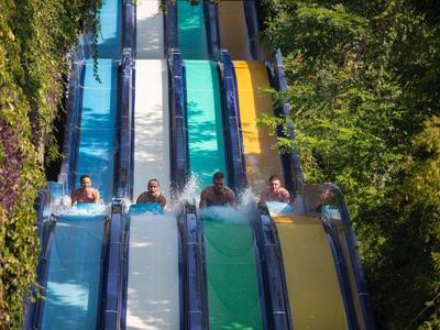 Sei persone scivolano fianco a fianco su scivoli multicolori circondati da alberi.