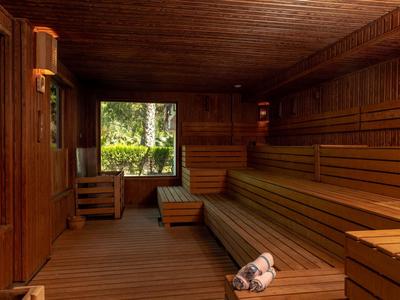 Sauna in legno con sedie a sdraio e finestra che dà su alberi verdi