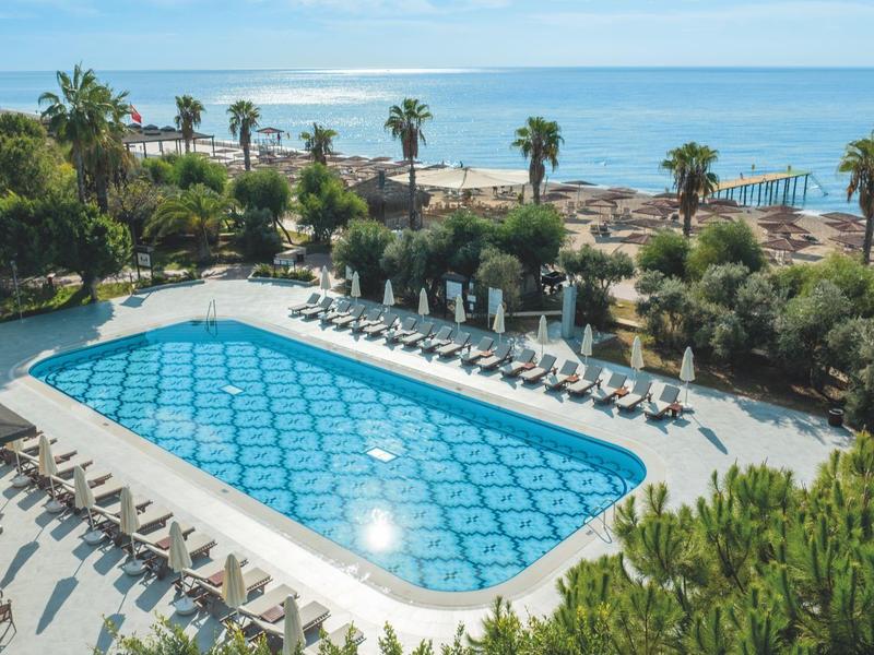 Piscina con lettini e palme vicino al mare in una giornata di sole