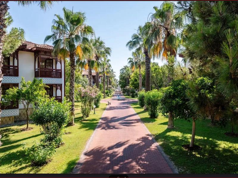 Un ampio sentiero fiancheggiato da palme e cespugli verdi conduce a case in un giardino soleggiato dell'hotel.