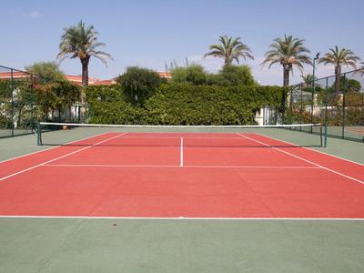 Roter Tennisplatz mit weißen Linien und Palmen im Hintergrund unter blauem Himmel.