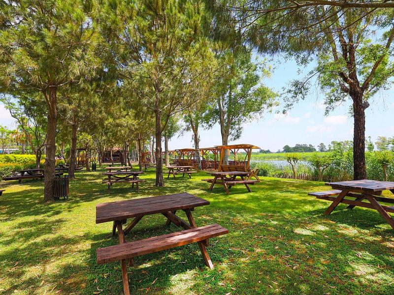 Spokojny teren piknikowy z drewnianymi ławkami pod drzewami na zielonej trawie.