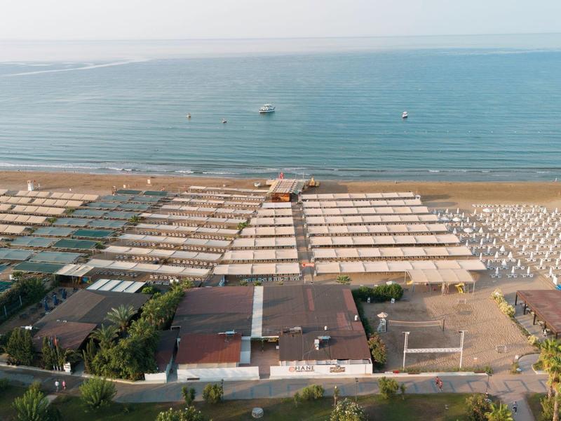 Aerial view of a beach with rows of umbrellas and a view of the sea.