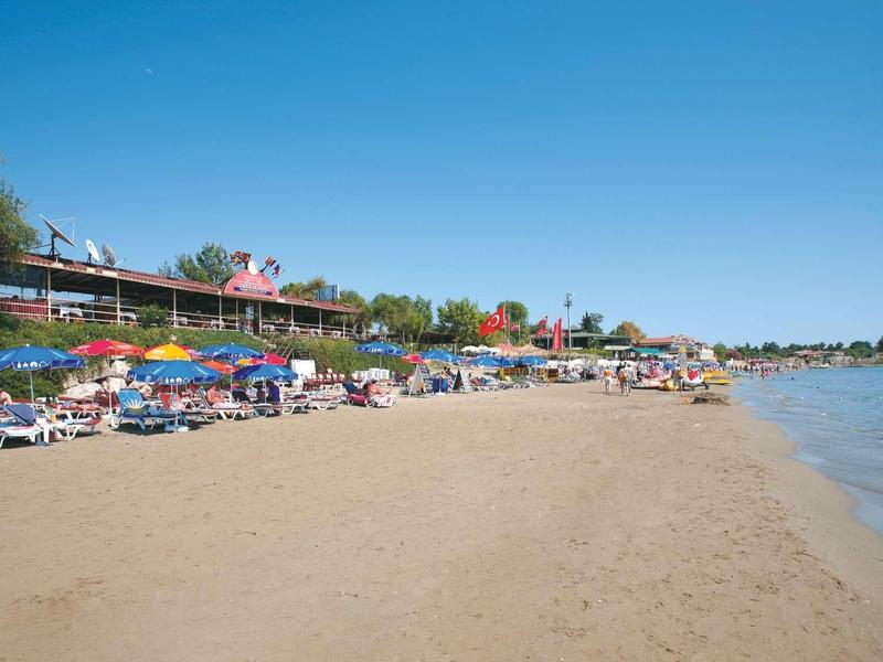 Sandy beach with sunbeds and umbrellas near calm water under clear blue sky.