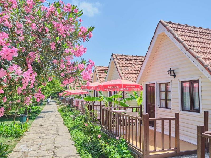 Row of small cottages with wooden decks and pink flowering trees along a stone path.