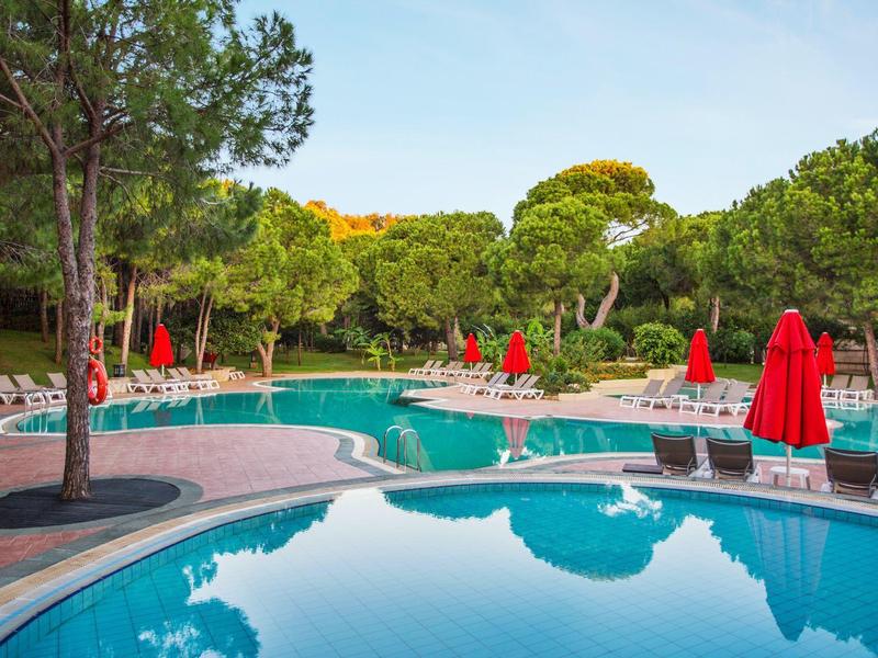 Outdoor pool with red umbrellas and lounge chairs surrounded by green trees under a blue sky.