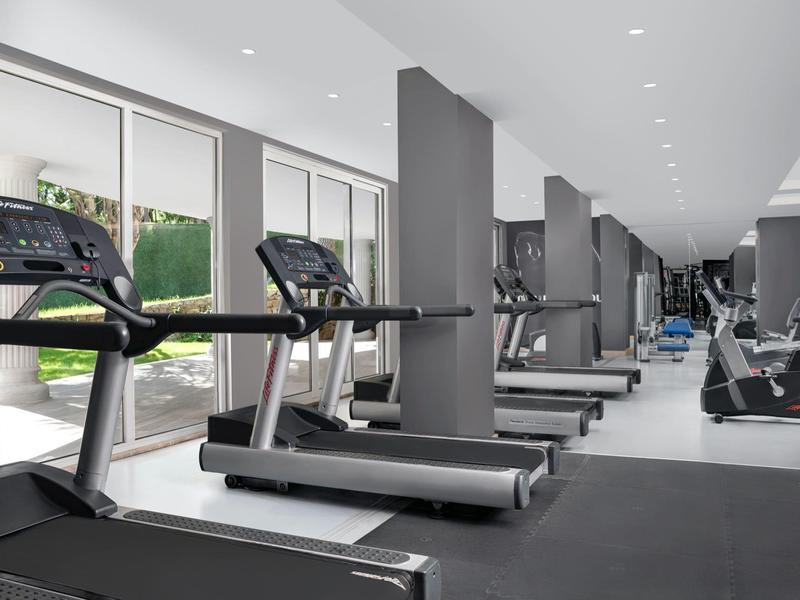 Modern gym with treadmills and rowing machines next to large windows.