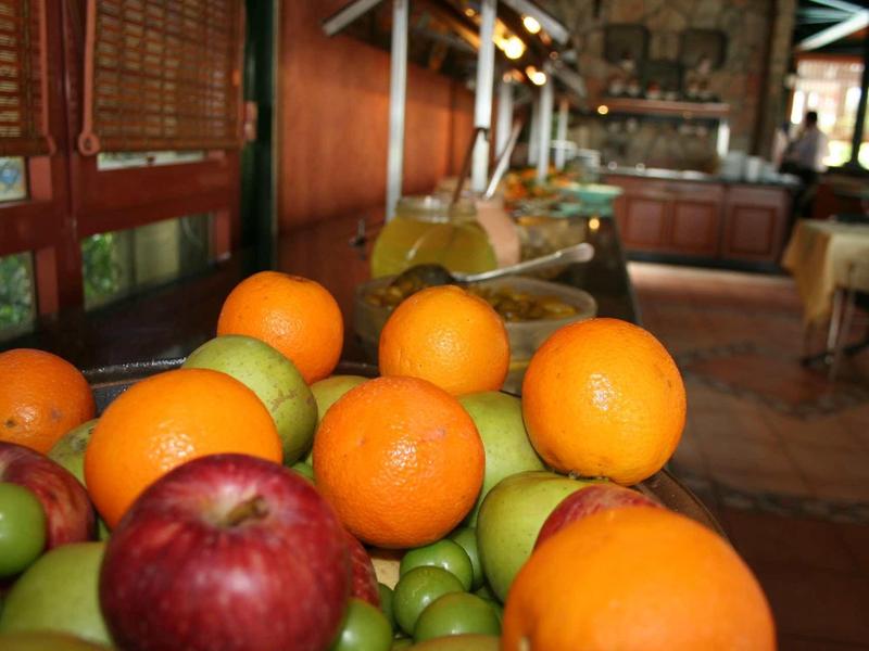 Bunte Früchte wie Orangen, Äpfel und Trauben auf einem Holztisch in einem warmen Raum.