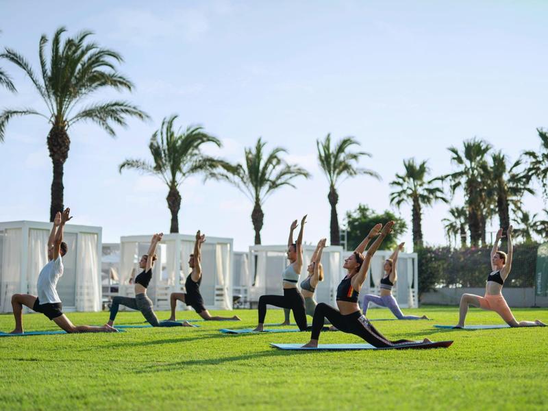 People doing yoga on a green lawn with palm trees in the background.