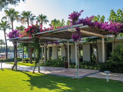 Un giardino di un hotel con pergolato fiorito e palme sullo sfondo sotto il sole splendente.