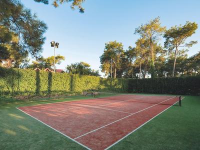 Czerwony kort tenisowy z zielonym otoczeniem i drzewami w tle pod niebieskim niebem.