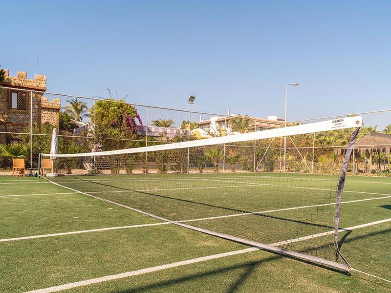 Un campo da tennis verde con rete sotto un cielo blu limpido, alberi e case sullo sfondo.