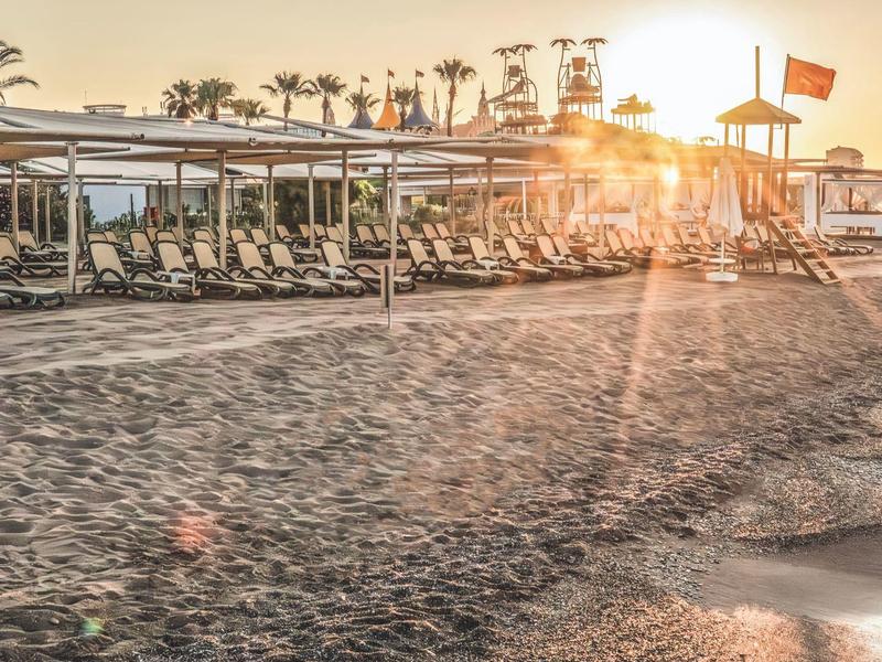 Playa con tumbonas, sombrillas y palmeras al atardecer junto al mar.