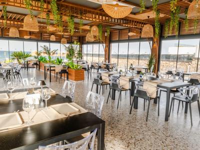 Bright restaurant with modern metal chairs, wooden tables, and green plants near windows.