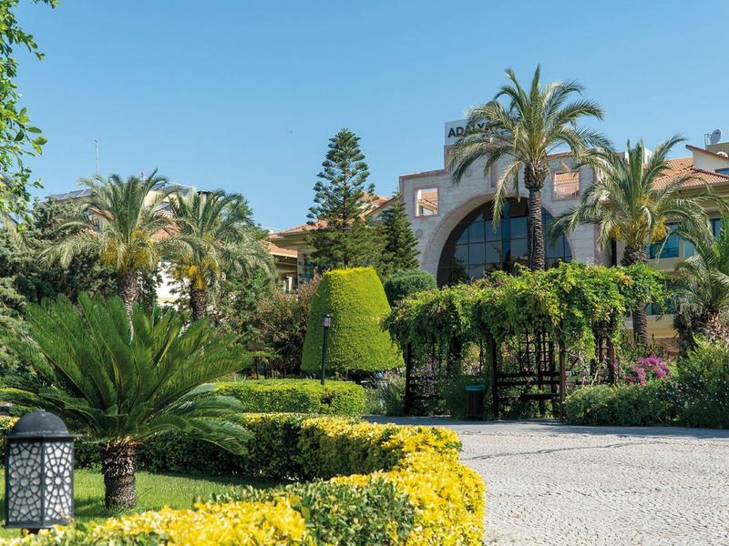 Giardino elegante dell'hotel con palme, siepi verdi e fiori gialli sotto un cielo soleggiato.