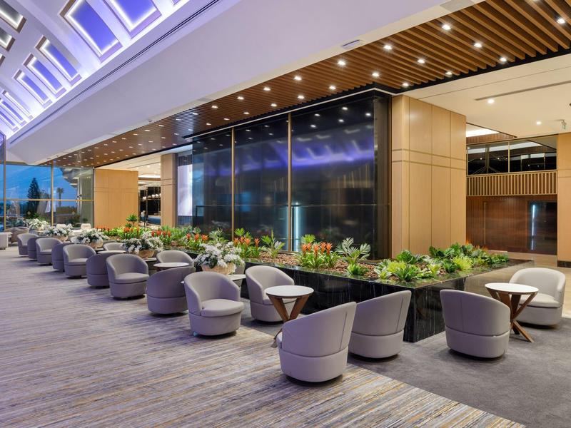 Área exterior moderna de un hotel con sillones cómodos y decoración de plantas al anochecer.