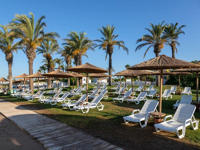 Filas de tumbonas blancas bajo techos de paja junto a palmeras en un resort soleado junto a la playa.