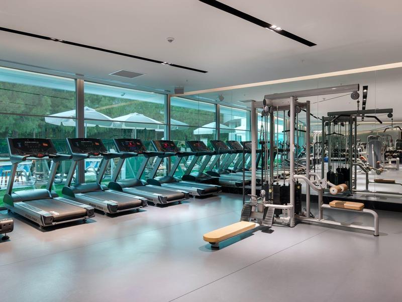 Gimnasio moderno con cintas de correr, máquinas de fuerza y grandes ventanas con vista a áreas verdes.