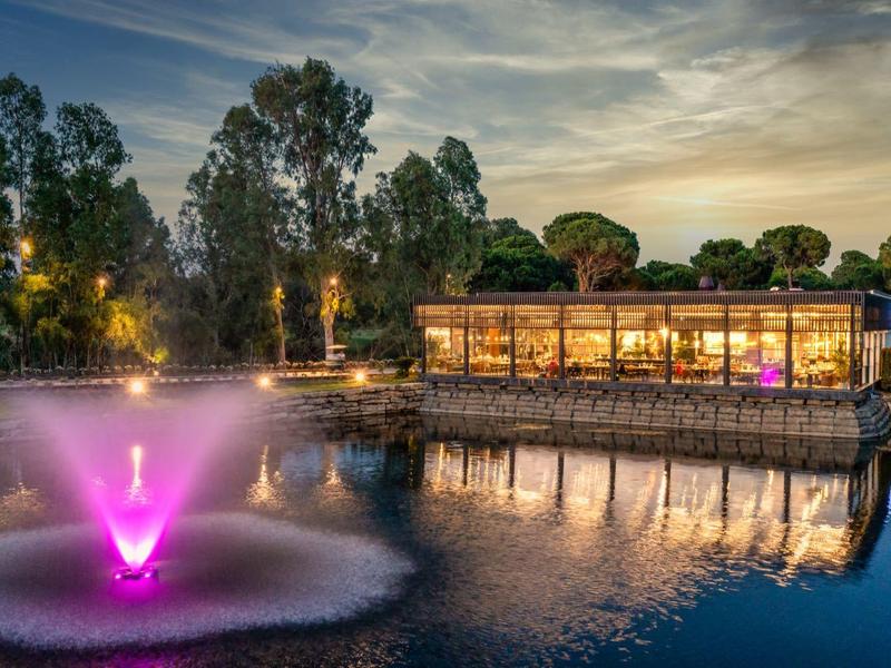 Illuminated fountain in a pond in front of a modern glass building at dusk.