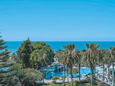 Vue sur une zone de piscine avec des palmiers et des arbres verts devant la mer bleue et le ciel.