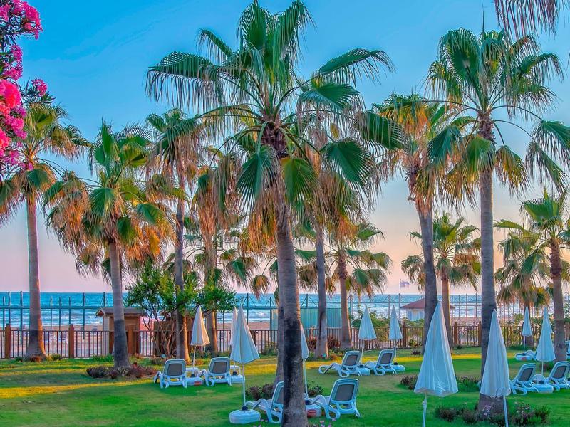 Palmiers et chaises longues dans un jardin tropical avec vue sur la mer et ciel bleu.
