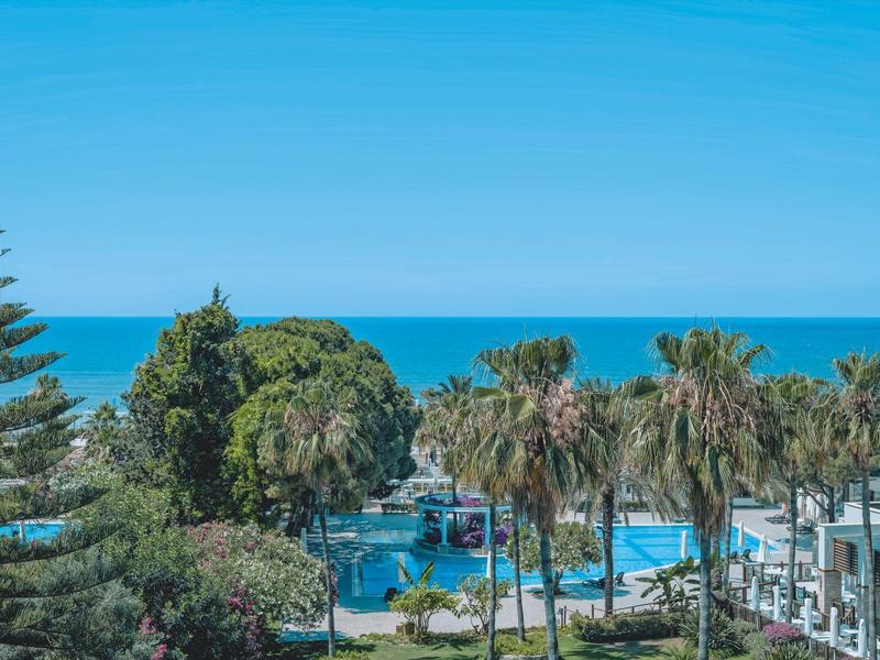 Vue sur une zone de piscine avec des palmiers et des arbres verts devant la mer bleue et le ciel.