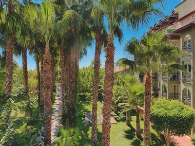 Hotelgarten mit hohen Palmen und gepflegtem Grün unter blauem Himmel