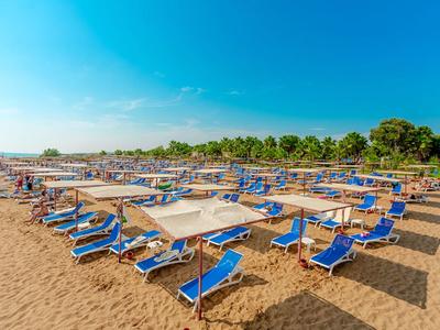 Neatly arranged blue sunbeds with umbrellas on a sandy beach under a clear blue sky.